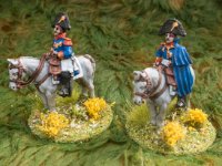 SMALL Napoleonic 2   2018  French Generals